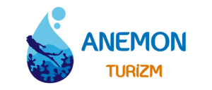 amemon logo-01